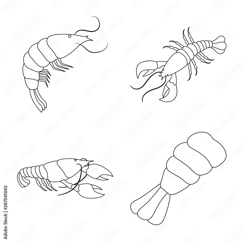 Isolated object of food and sea icon. Collection of food and animal stock vector illustration. Isolated object of food and sea icon. Collection of food and animal stock vector illustration.