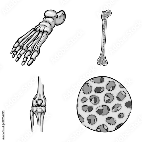 Vector illustration of biology and medical symbol. Set of biology and skeleton vector icon for stock.