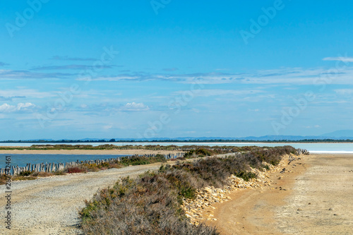 Empty road in Camargue through salt lagoons in Camarque regional nature reserve, Provence Alpes Cote Azur, France © nomadkate