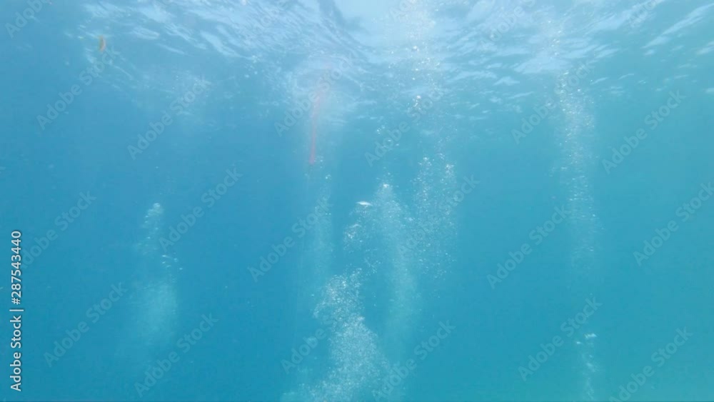 Bubbles rising from below underwater Bubbles rising from below underwater