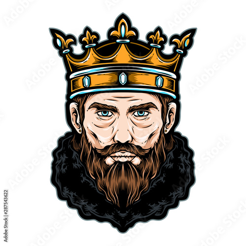 king head vector logo and icon