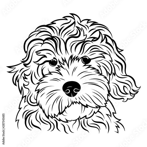 Portrait of a dog. Portrait of the breed golden doodle. Black white illustration of a fluffy dog. Print for clothes. Doodle. Tattoo.