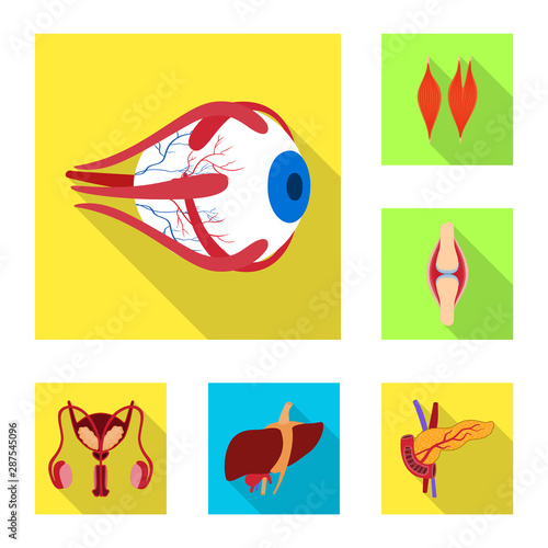 Vector illustration of human and health symbol. Set of human and scientific stock symbol for web.