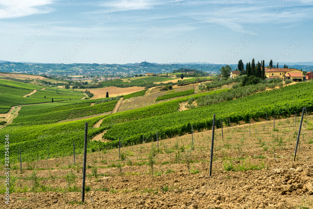 Landscape in Chianti near Fucecchio at summer