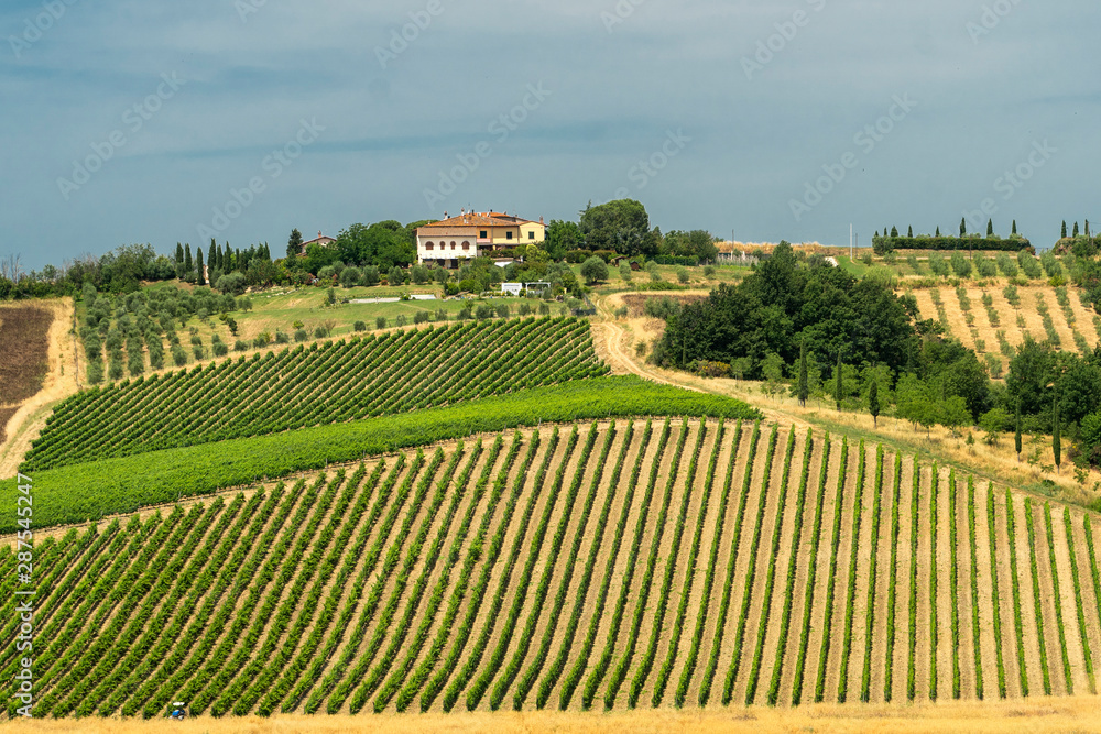 Landscape in Chianti near Fucecchio at summer