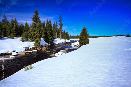 Fototapeta Naklejka Na Ścianę i Meble -  jizera izera river on a sunny snowy day, polish czech border in sudetes mountains