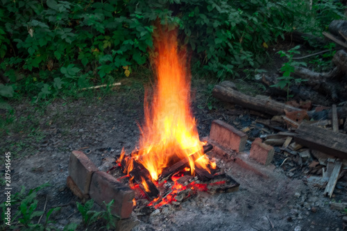 Campfire among green bushes in the garden in the middle of summer