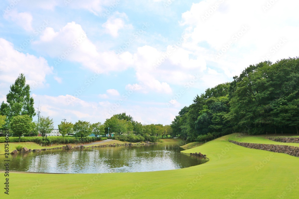 夏 緑 池 風景 公園 杤木 夏 緑 池 風景 公園 杤木