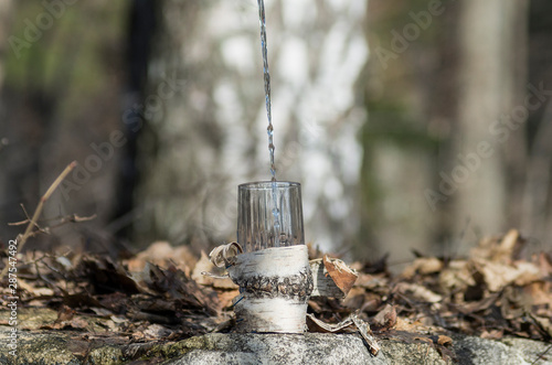 Pouring birch sap into a glass. photo