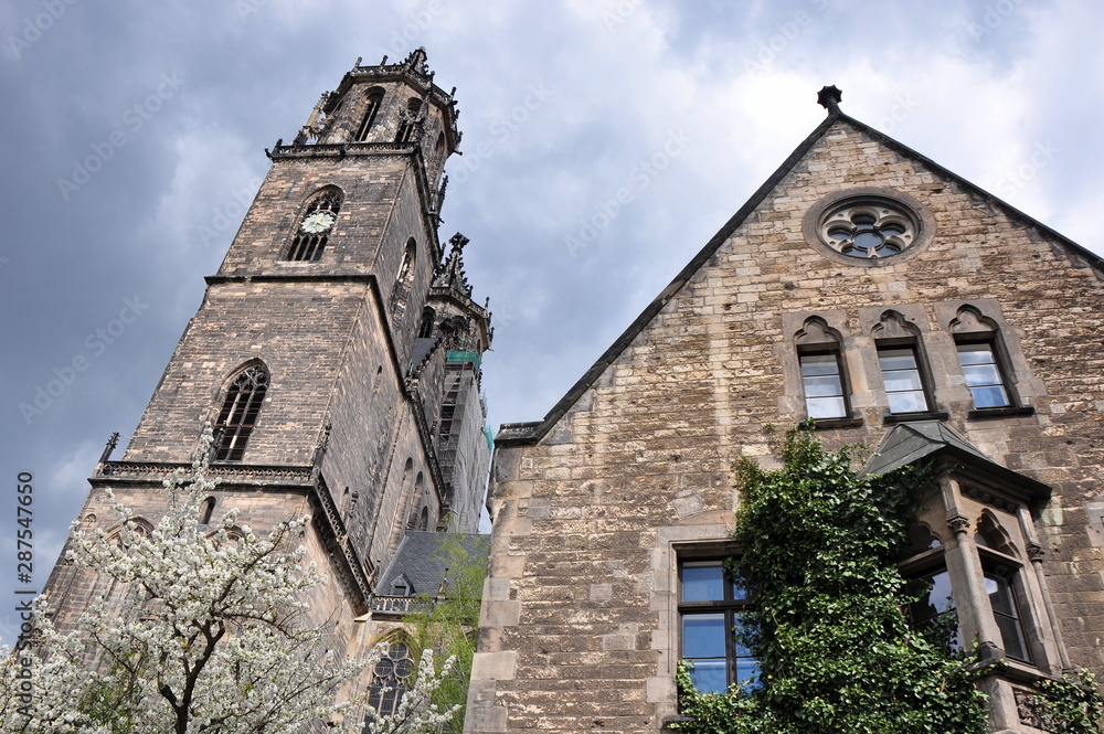 Fototapeta premium Turm und Giebel des Magdeburger Doms