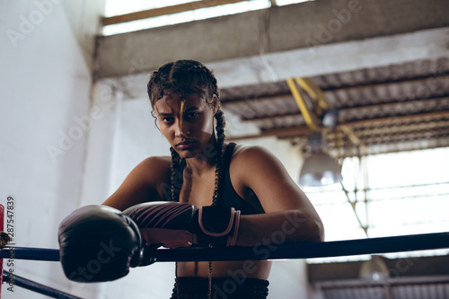 Portrait of boxer leaning on rope in boxing ring photo