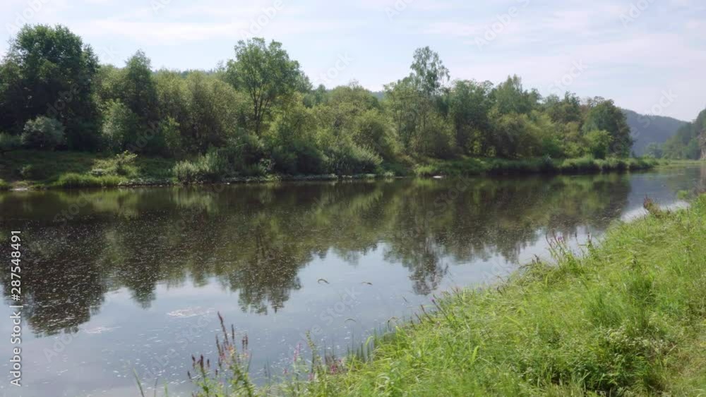 Shooting with a manual camera with a stabilizer of the reservoir and the opposite shore with shrubs and trees. Standing water with foam on the surface. Shooting with a manual camera with a stabilizer of the reservoir and the opposite shore with shrubs and trees. Standing water with foam on the surface.