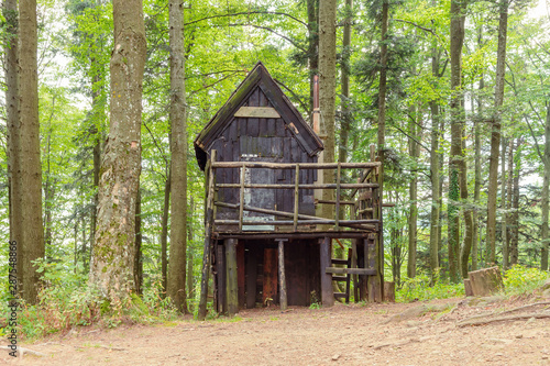 Hunting lodge in the forest  summer