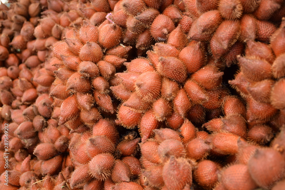 Fototapeta premium Salacca zalacca, Snake fruit background