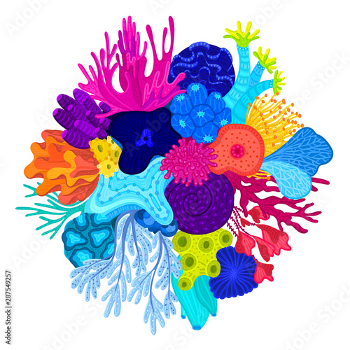 Vector composition of corals. Colorful sea or ocean life. Print on clothes, phone case, poster, cover, package, postcard, brochure, flyer for water park, aquarium or marine exhibition. Sticker, label