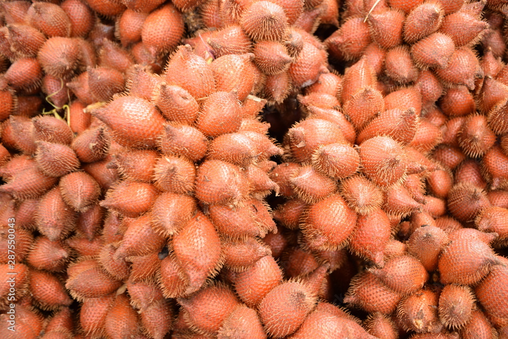 Fototapeta premium Salacca zalacca, Snake fruit background