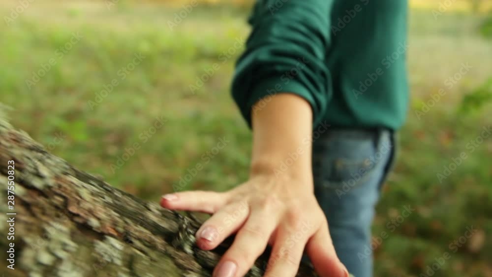 Young woman lightly touches trunk of a tree with her fingers. Young woman lightly touches trunk of a tree with her fingers.
