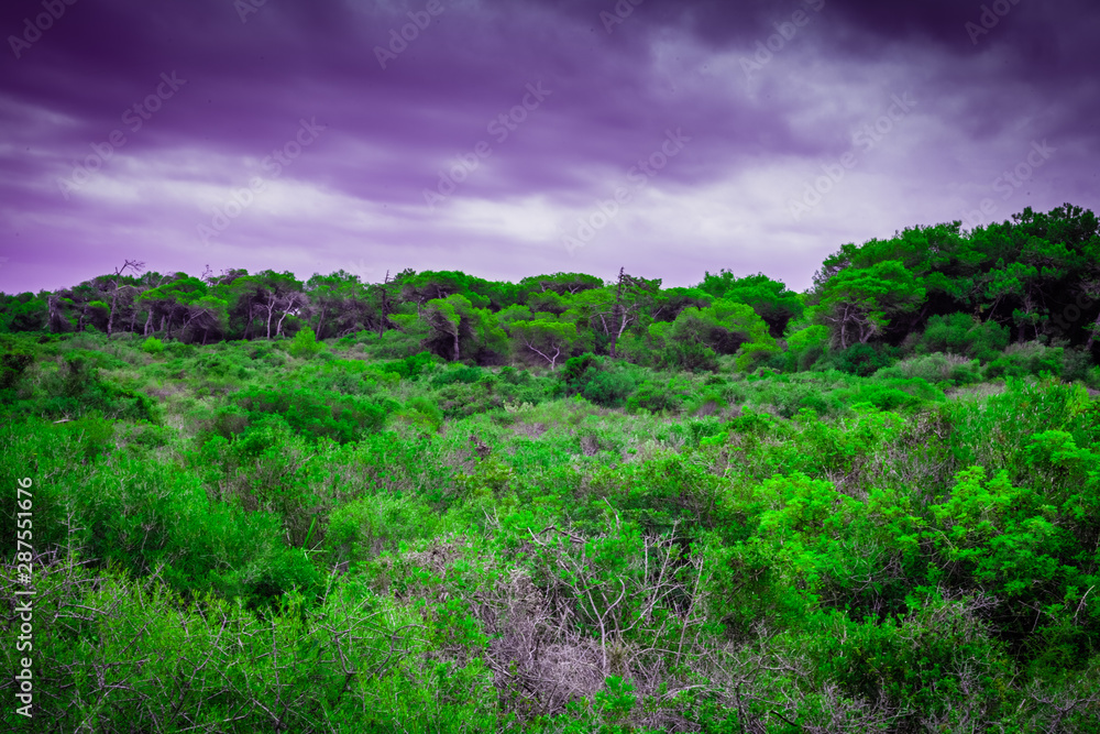 tormenta de cielo verde