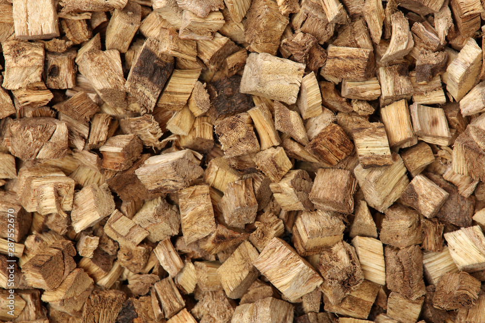 Root of kudzu vine,puerarin Isolated background Root of kudzu vine,puerarin Isolated background
