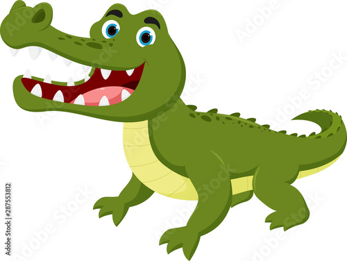 Cute crocodile cartoon   isolated on white background