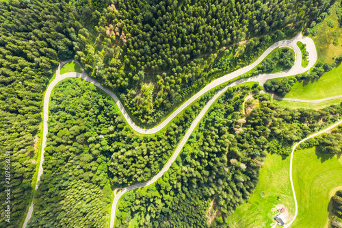 Картината върху платно winding road in the black forest area germany