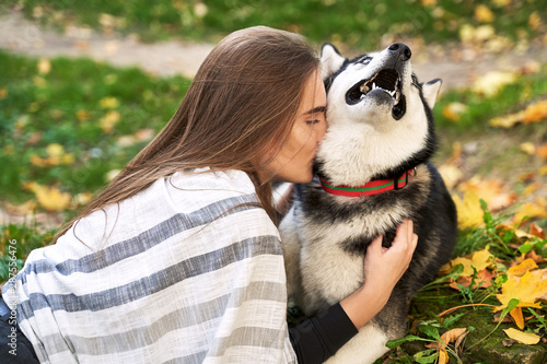 Young beautiful girl playing with her cute husky dog pet in autumn park covered with red and yellow fallen leaves