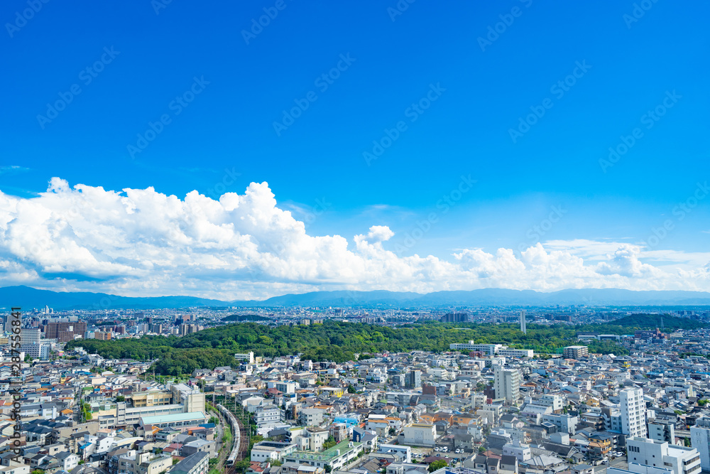 Fototapeta premium Urban Landscape of Osaka