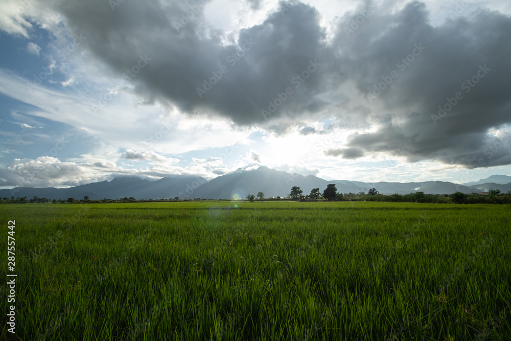 Rice field and mountain shot, cloudy sky and lens flare, blue sky, green grass, tropical climate