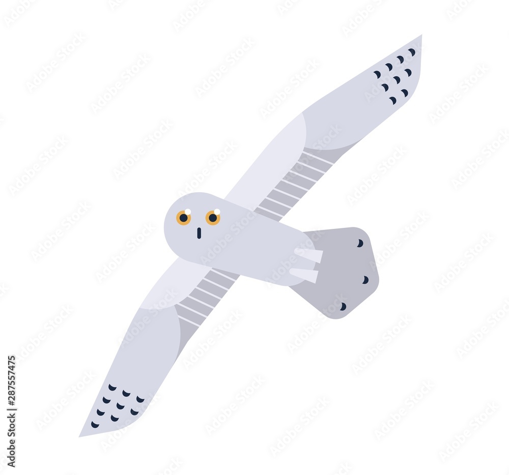 Snowy Owl flat vector illustration Snowy Owl flat vector illustration