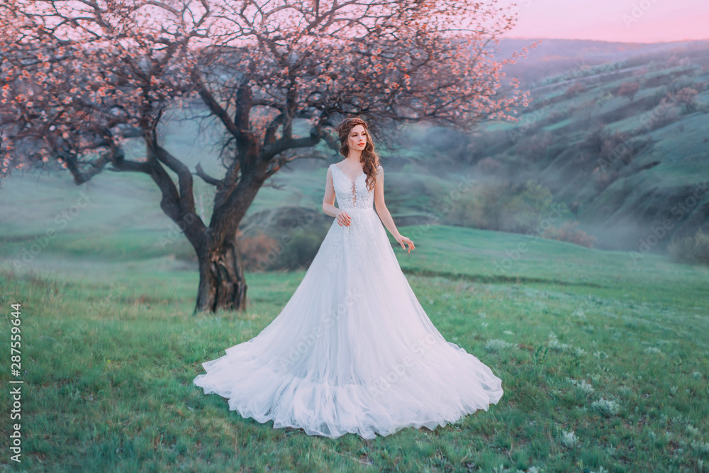 Fairytale Princess stands on a hilltop at dawn. Luxurious vintage white dress with lace. Stylish hairstyle for long hair with a braid. Background bright spring, lonely flowering tree. Creative colors
