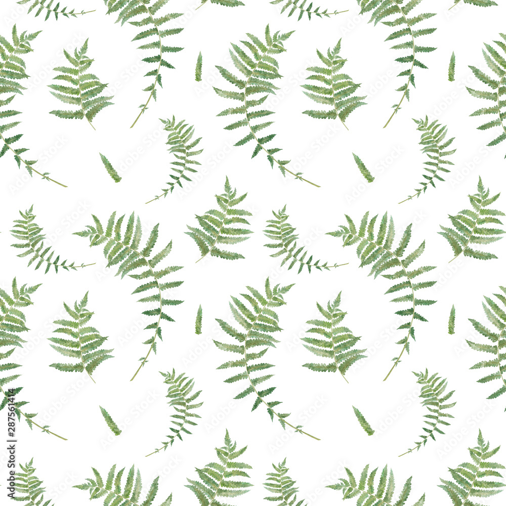 Fototapeta premium Fern leaves, tropical watercolor hand drawn seamless pattern isolated on white background.