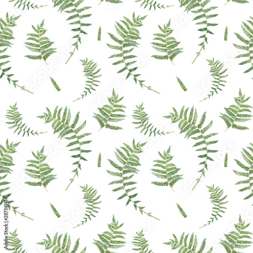 Fern leaves  tropical watercolor hand drawn seamless pattern isolated on white background.