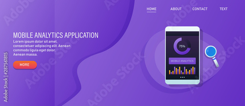 Mobile analytic, data management, information, statistic showing on mobile phone screen, application concept. Web banner, template, presentation.