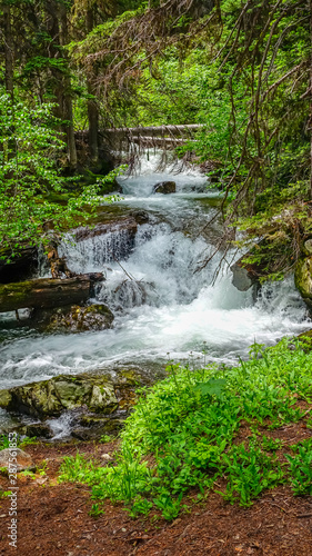 Waterfall in Okanogan-Wenatchee National Forest