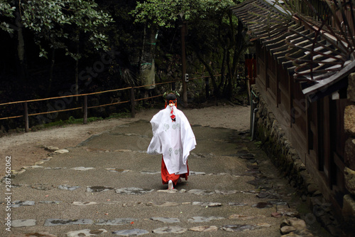 Canvas Print Miko - shinto priestess walking down the stairs of old shrine in Kyoto (Kamigamo