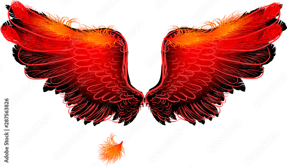Fototapeta red flame large isolated wings on white