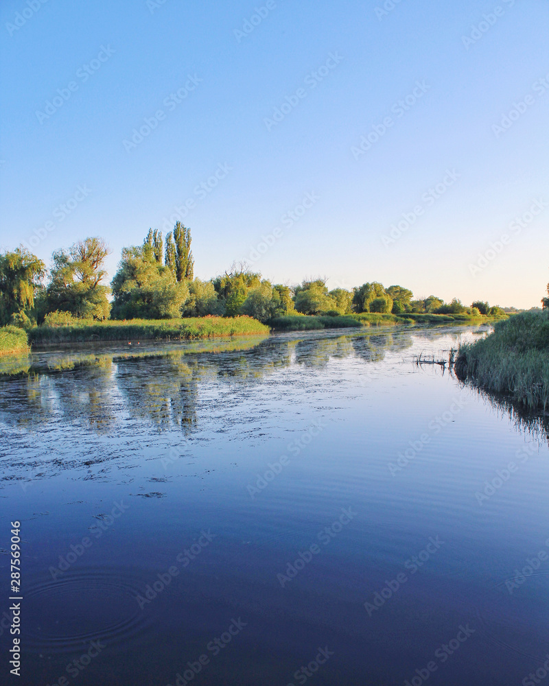 Vegetation on the banks of the river. Still water. Vegetation on the banks of the river. Still water.