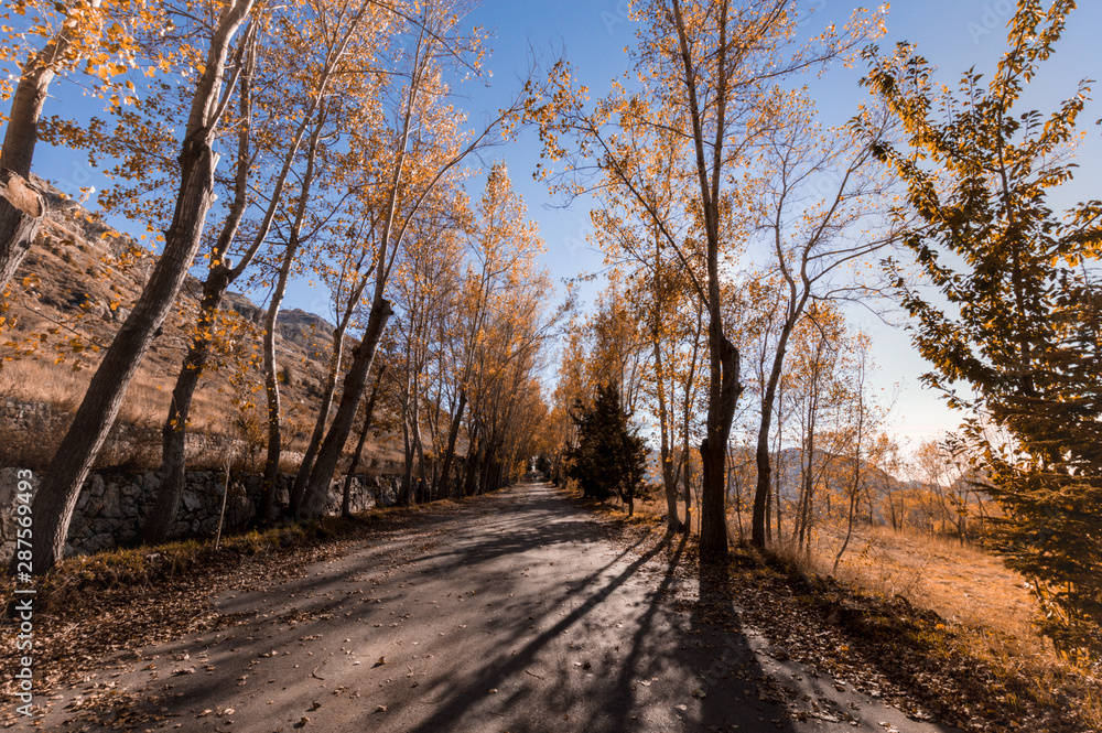 Fall nature Fall nature