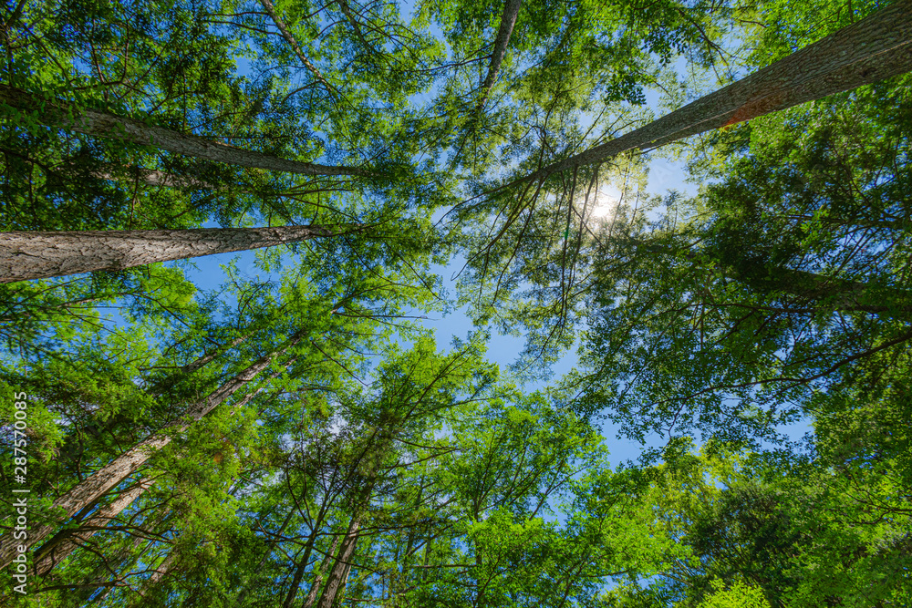 Naklejka premium jaoanese alps kamikochi