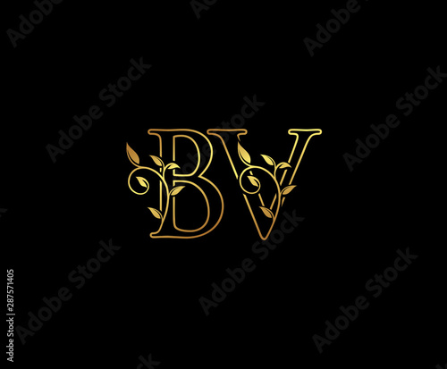 Initial letter B and V, BV, Gold Logo Icon, classy gold letter monogram logo icon suitable for boutique,restaurant, wedding service, hotel or business identity. 