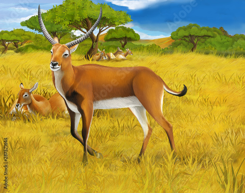 Fototapeta Naklejka Na Ścianę i Meble -  cartoon scene with koba lychee on the meadow safari illustration for children