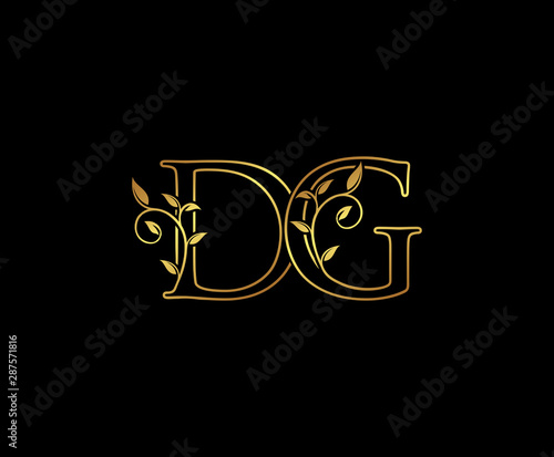 Initial letter D and G, DG, Gold Logo Icon, classy gold letter monogram logo icon suitable for boutique,restaurant, wedding service, hotel or business identity. 