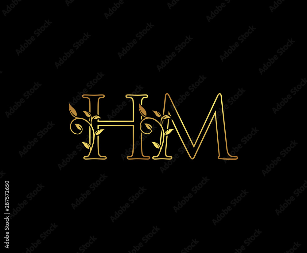 Initial letter H and M, HM, Gold Logo Icon, classy gold letter monogram  logo icon suitable for boutique,restaurant, wedding service, hotel or  business identity. Stock Vector | Adobe Stock