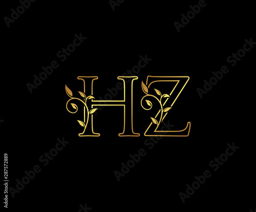 Initial letter H and Z  HZ  Gold Logo Icon    classy gold letter monogram logo icon suitable for boutique restaurant  wedding service  hotel or business identity. 