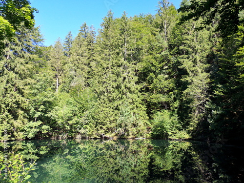 Dichter grüner Nadelwald an türkisfarbenem Wasser im Sommer bei Sonnenschein am Mittersee im Faulbachtal bei Bad Faulbach und Füssen im Landkreis Ostallgäu im Freistaat Bayern photo