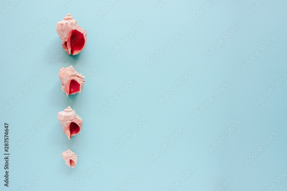Sea shells with flower on blue background. Closeup view, flat lay Sea shells with flower on blue background. Closeup view, flat lay