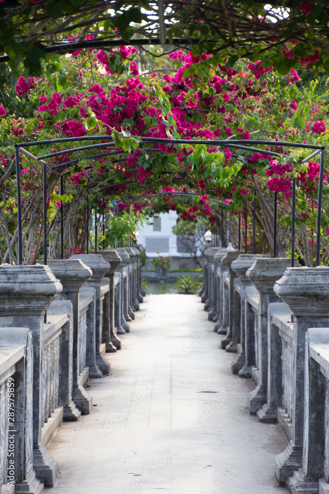 Beautiful Pathway Beautiful Pathway