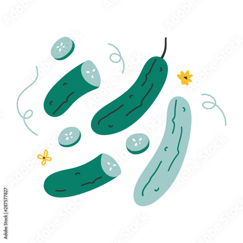 Simple vector colorful hand drawn illustration of cucumber ingredient with slices. Trendy flat naive style handdrawn drawing of vegetable. healthy diet cooking ingredient.