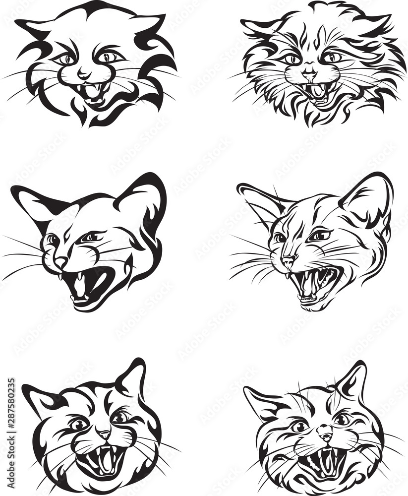 cat, head, grin, teeth, muzzle, vector, illustr cat, head, grin, teeth, muzzle, vector, illustr