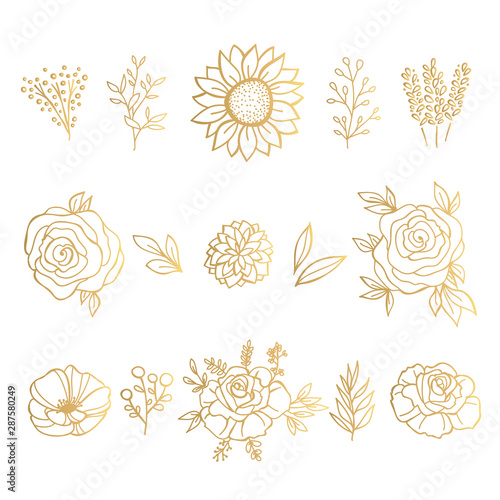 Collection of Gold Hand Drawn Floral Elements. Vector Frames and Leaves, Flowers and Herbs